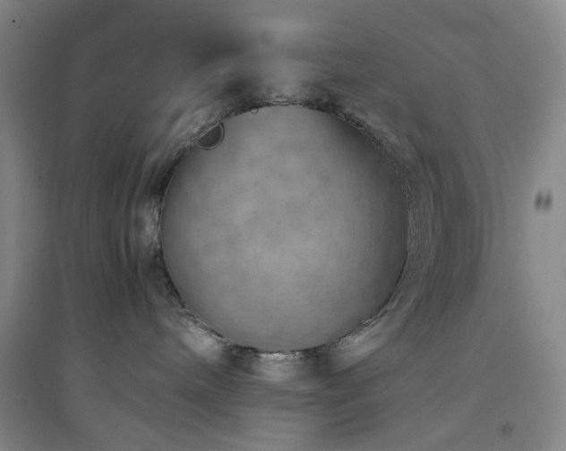 X0000094800240200711161505
