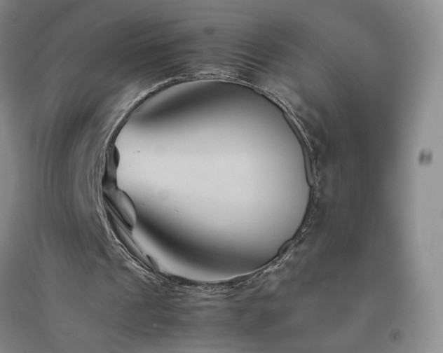 X0000094800241200711161504