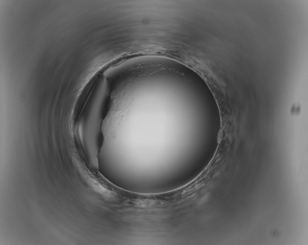 X0000094800242200711161504