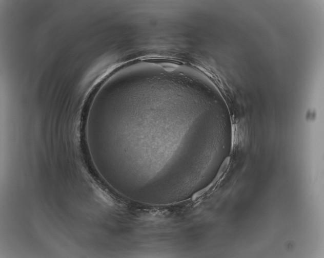 X0000094800243200711161504