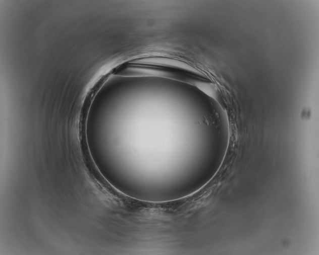 X0000094800244200711161504