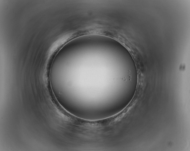 X0000094800245200711161504
