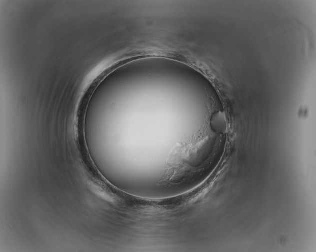 X0000094800246200711161504