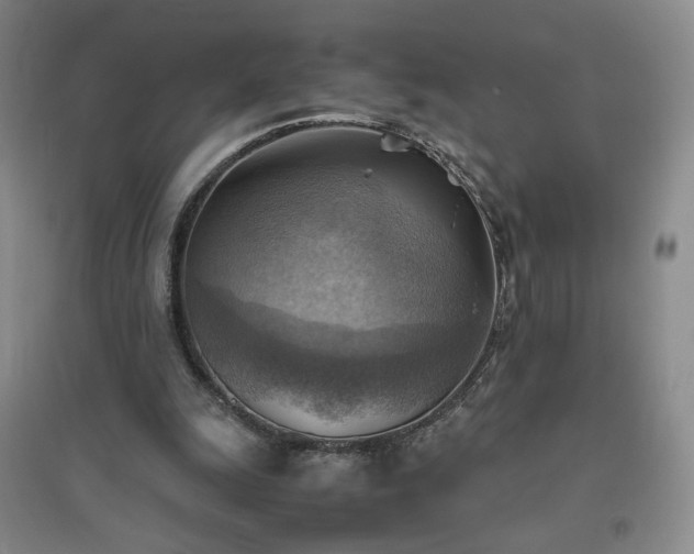 X0000094800247200711161504