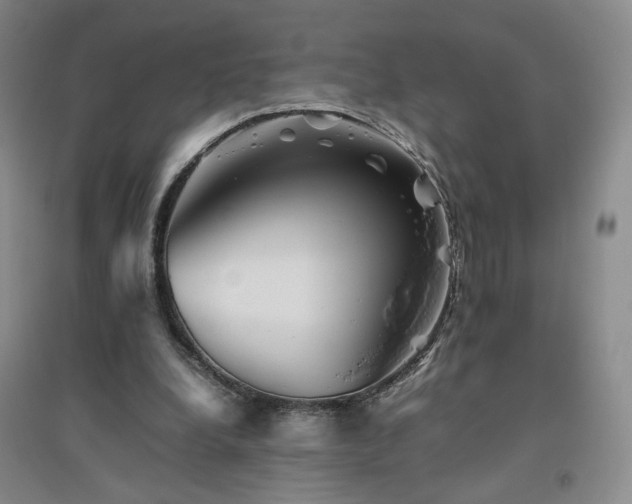 X0000094800248200711161504