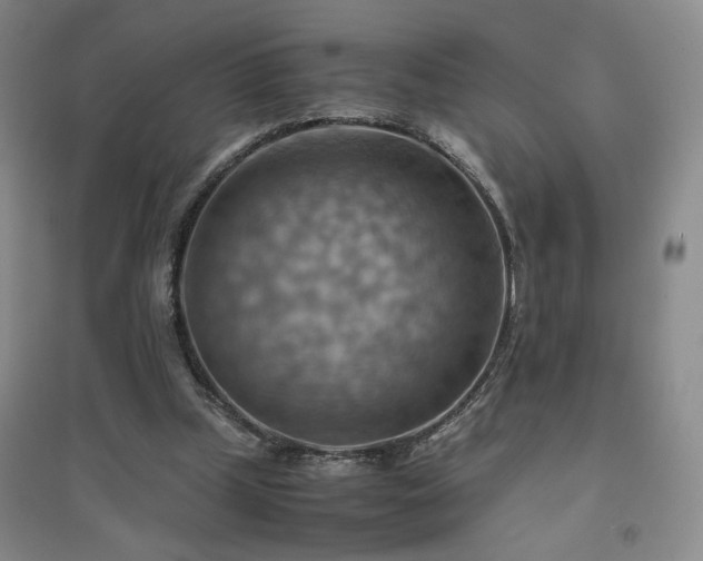 X0000094800249200711161504