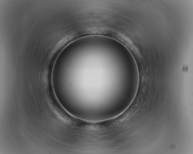 X0000094800250200711161504