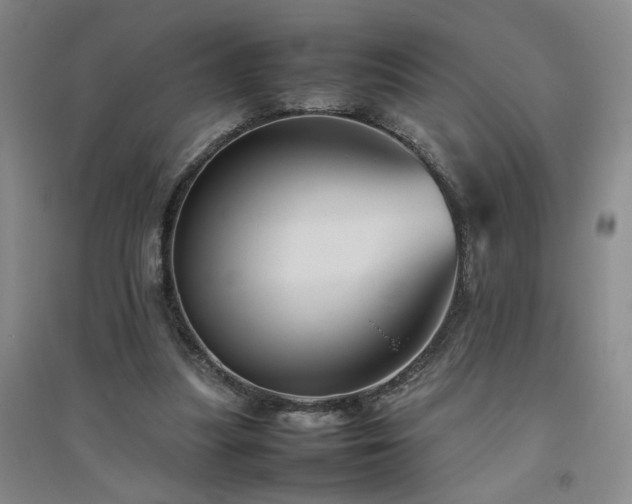 X0000094800251200711161505