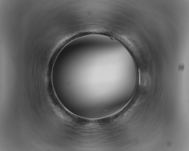 X0000094800252200711161505