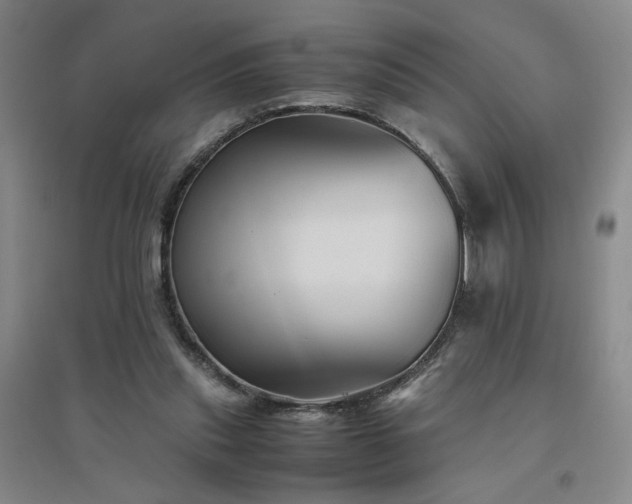 X0000094800253200711161505