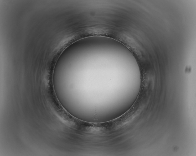 X0000094800255200711161505