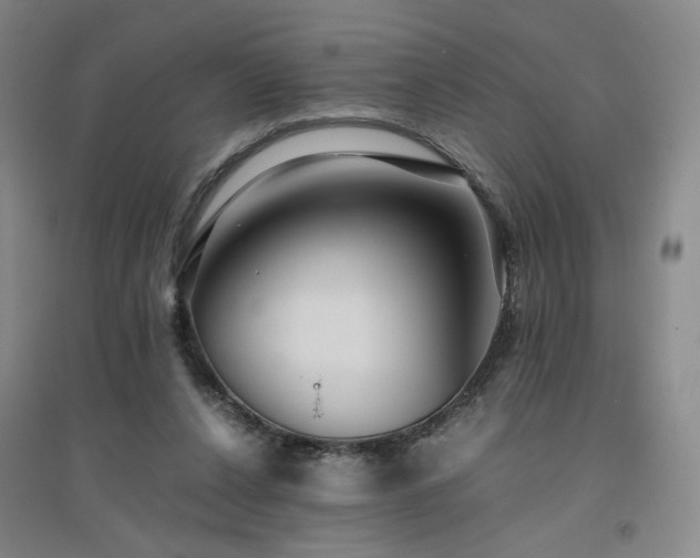 X0000094800256200711161505