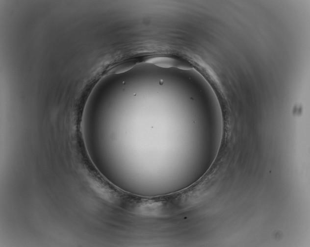 X0000094800257200711161505