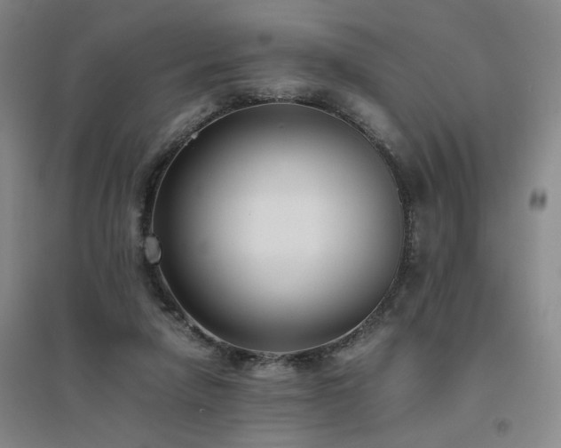 X0000094800258200711161505