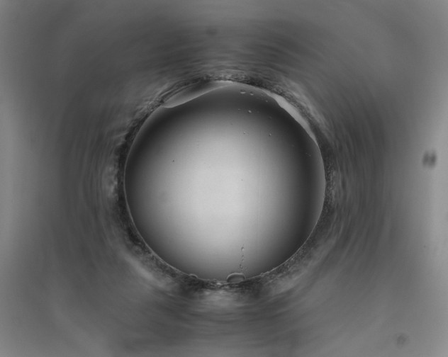 X0000094800259200711161505