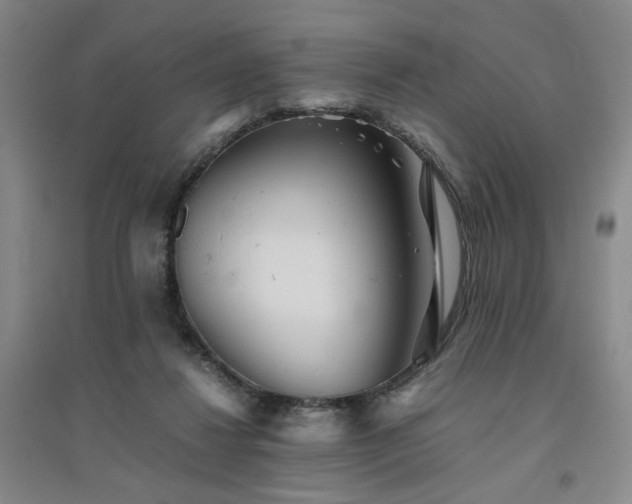 X0000094800260200711161505