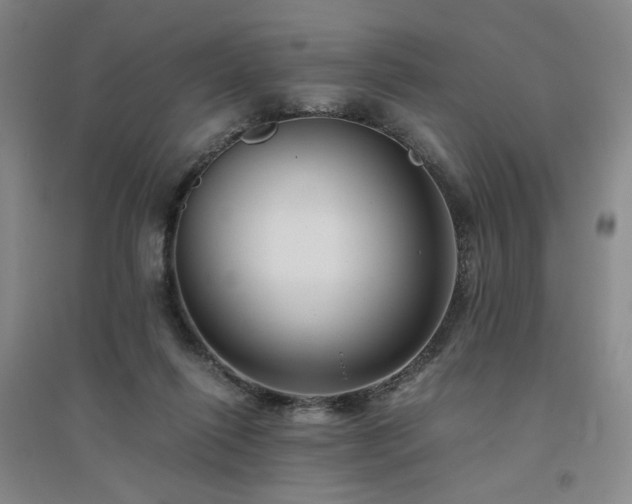 X0000094800262200711161505