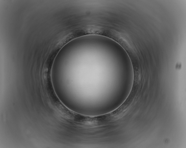 X0000094800263200711161505
