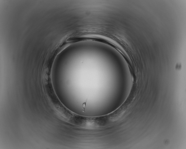 X0000094800264200711161505