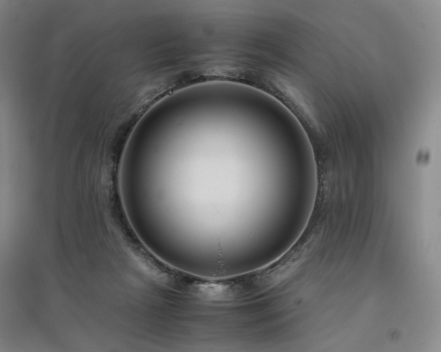 X0000094800265200711161505
