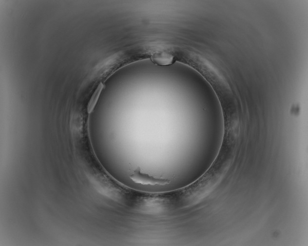 X0000094800268200711161505
