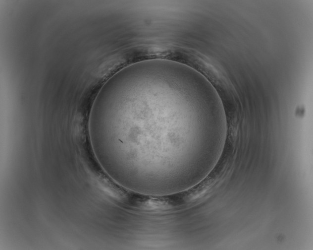 X0000094800270200711161505