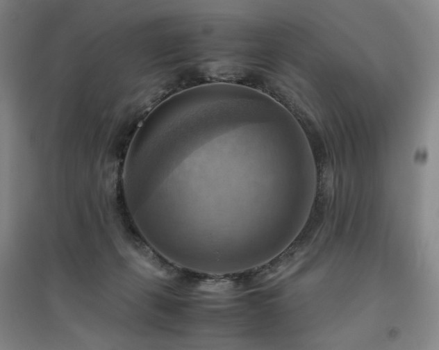 X0000094800271200711161505
