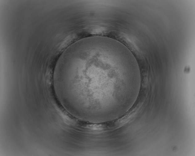 X0000094800273200711161505