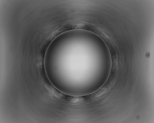 X0000094800274200711161505
