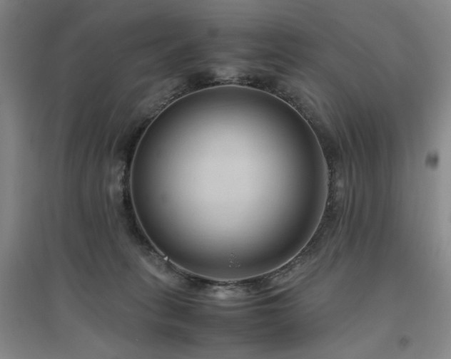 X0000094800275200711161505