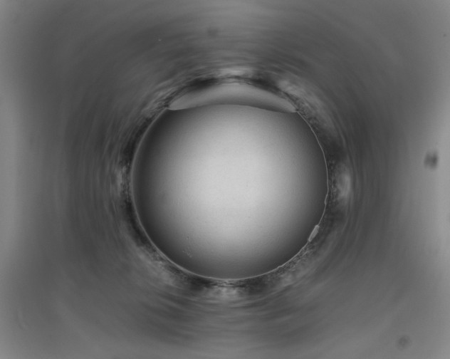 X0000094800276200711161505