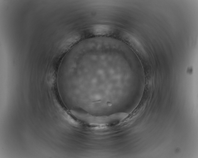 X0000094800277200711161505