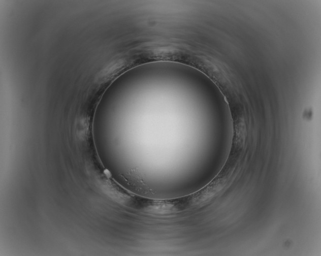 X0000094800278200711161505