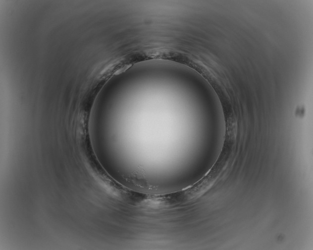 X0000094800280200711161505