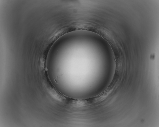 X0000094800282200711161505