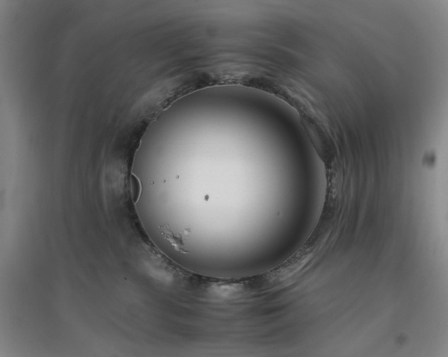 X0000094800283200711161505