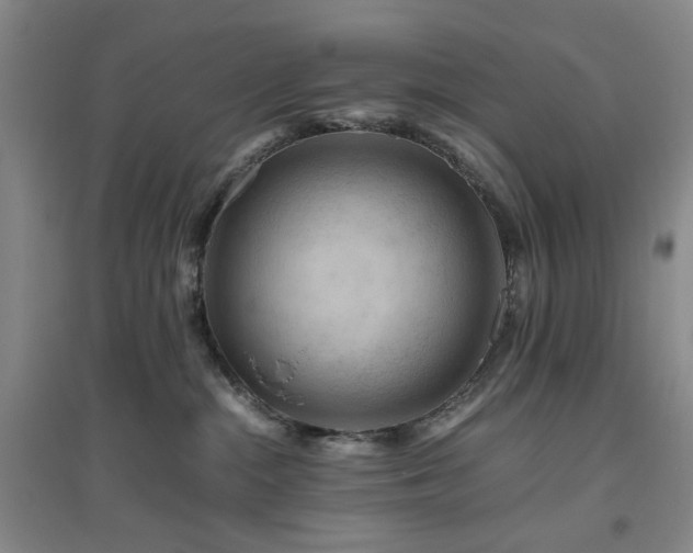 X0000094800284200711161505