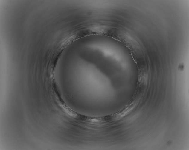 X0000094800285200711161505