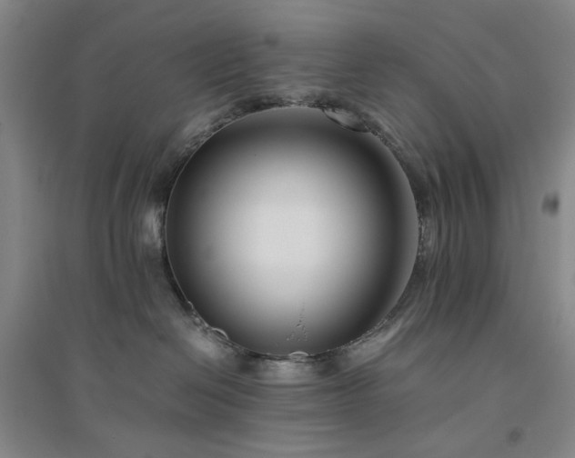 X0000094800286200711161505