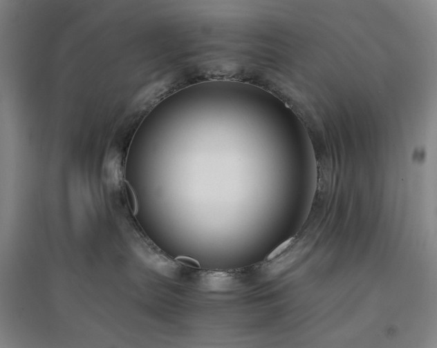 X0000094800287200711161505