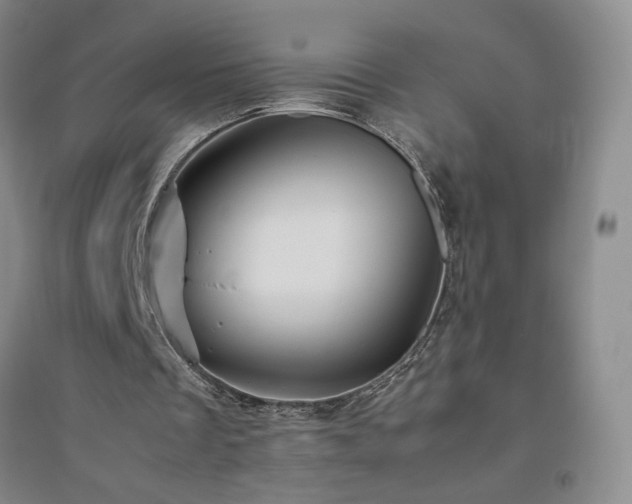 X0000094800289200711161504