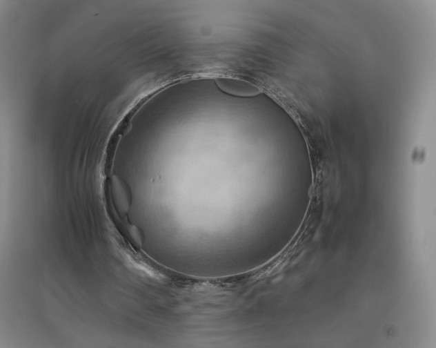 X0000094800290200711161504