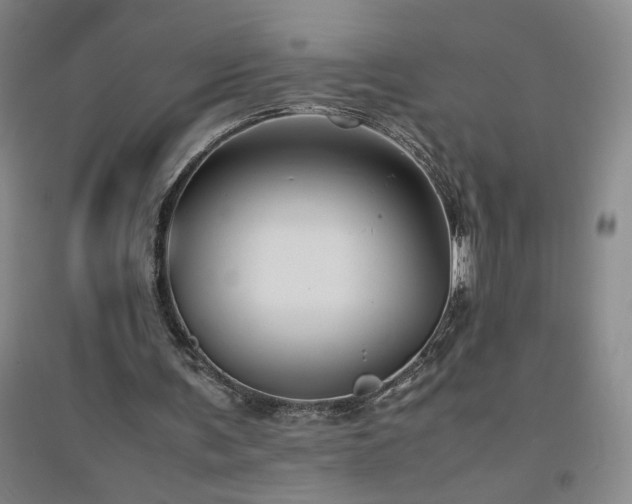 X0000094800291200711161504