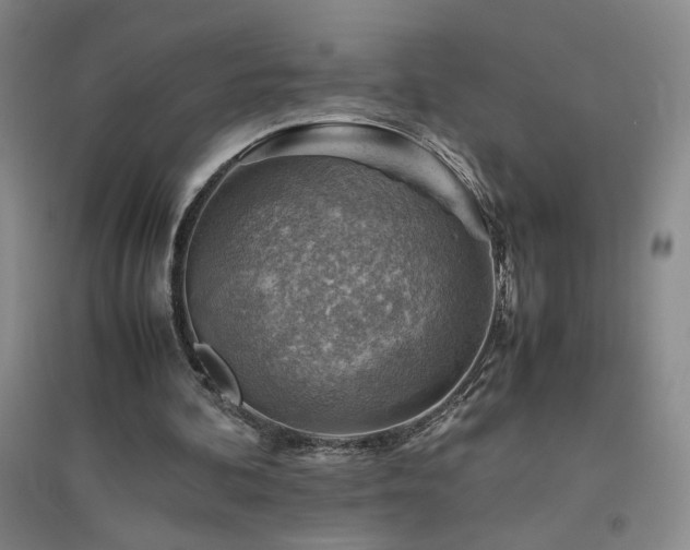 X0000094800292200711161504