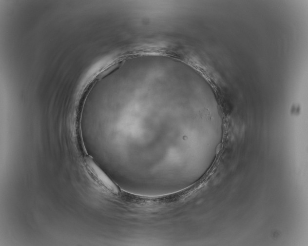 X0000094800293200711161504