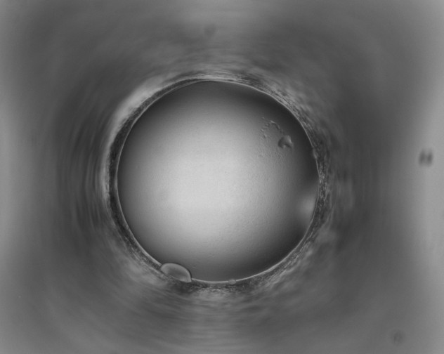 X0000094800294200711161504