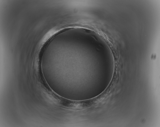 X0000094800295200711161504