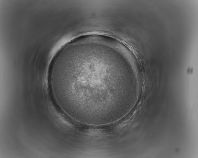 X0000094800296200711161504