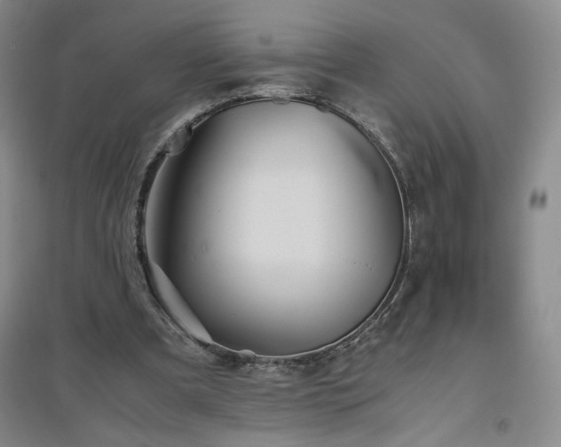 X0000094800297200711161504