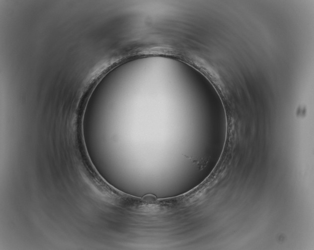 X0000094800298200711161504